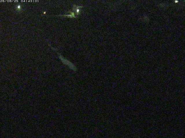 取得できませんでした