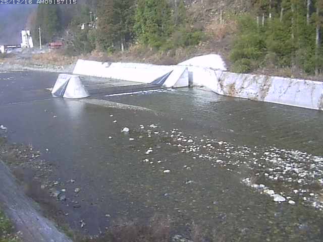 取得できませんでした