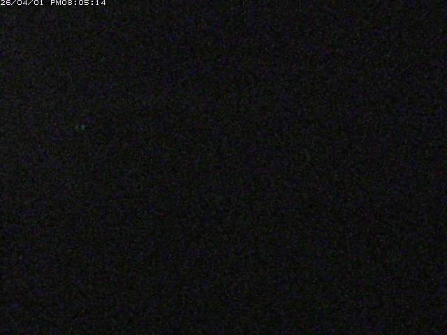 取得できませんでした