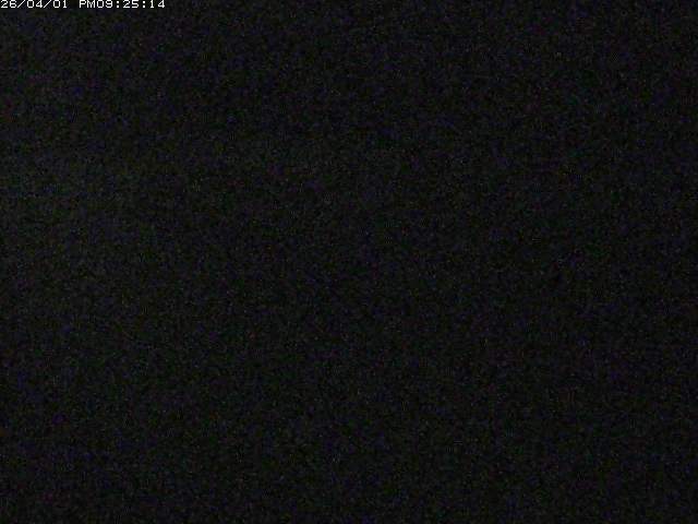 取得できませんでした