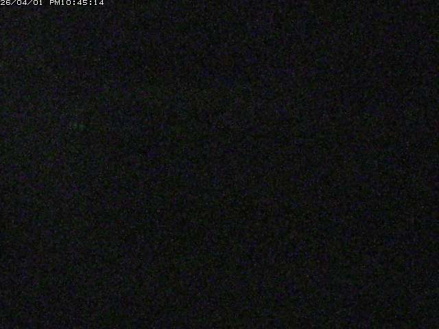 取得できませんでした