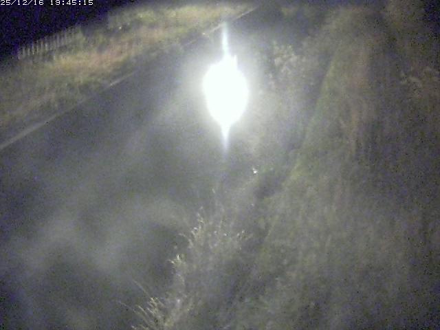 取得できませんでした