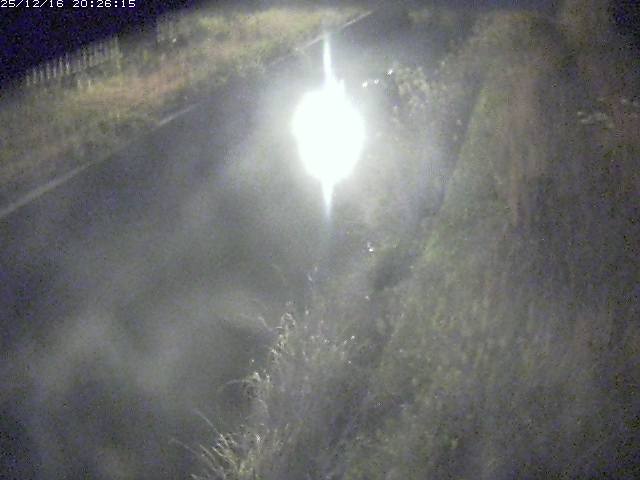 取得できませんでした