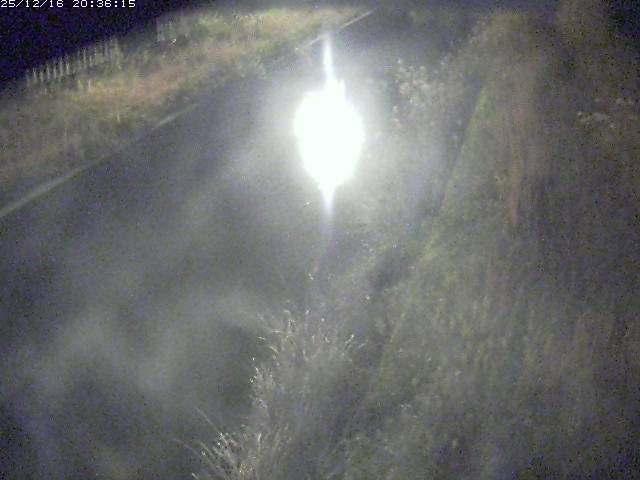 取得できませんでした