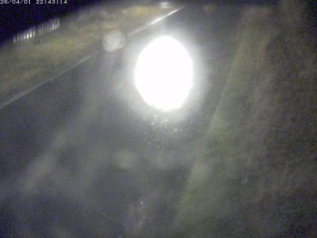 取得できませんでした