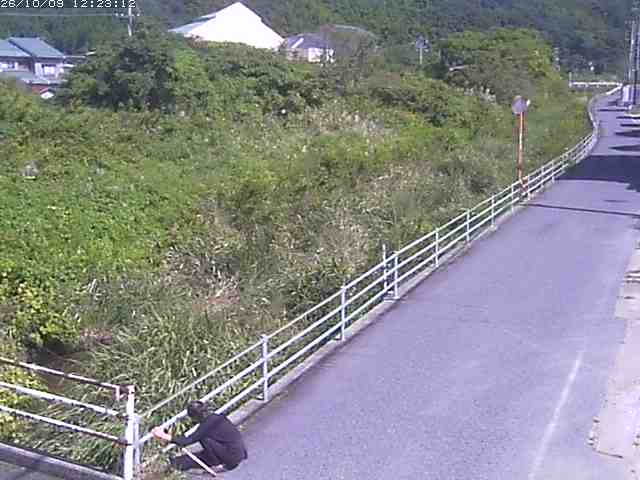 取得できませんでした