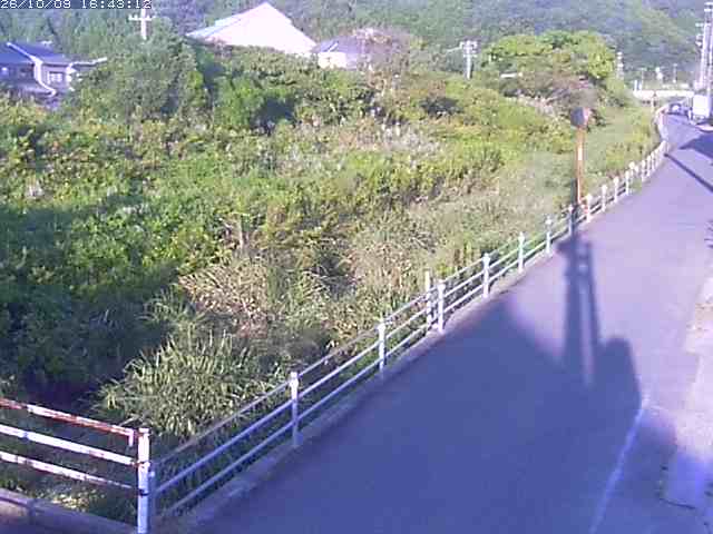 取得できませんでした