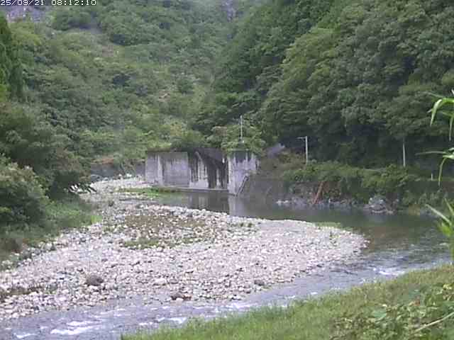 取得できませんでした