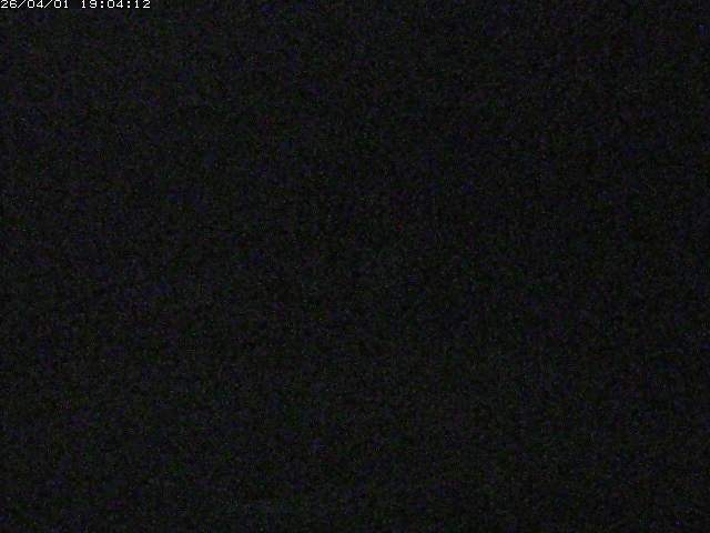 取得できませんでした