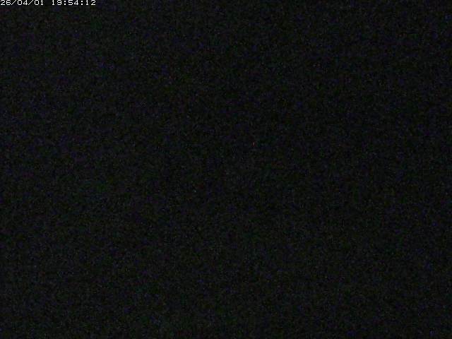 取得できませんでした