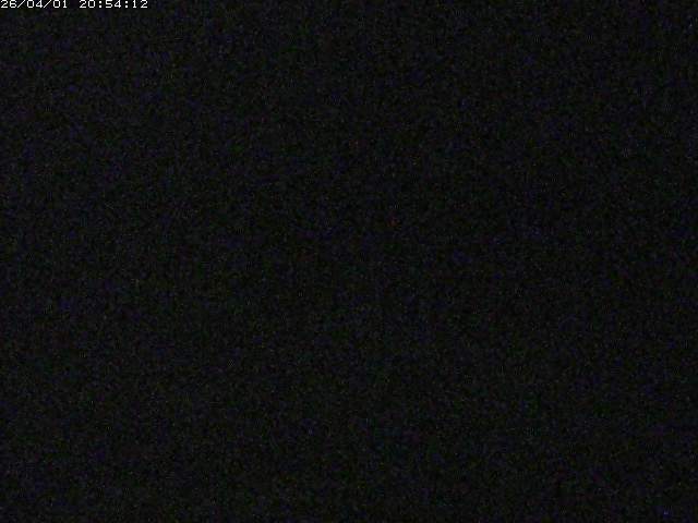 取得できませんでした