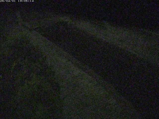 取得できませんでした