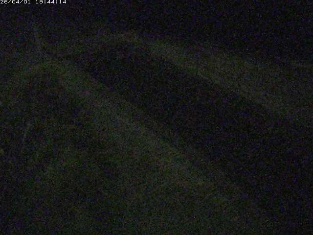 取得できませんでした