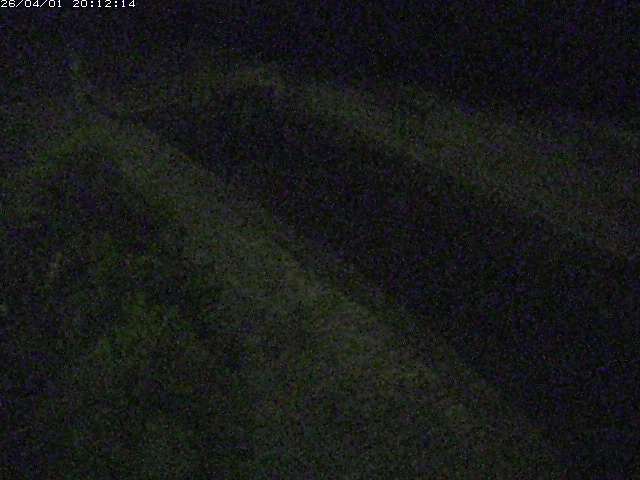 取得できませんでした