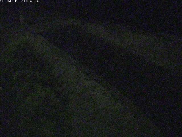 取得できませんでした