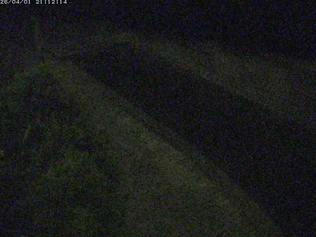 取得できませんでした