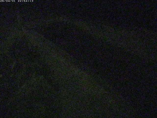 取得できませんでした