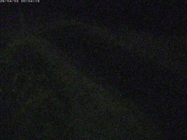 取得できませんでした