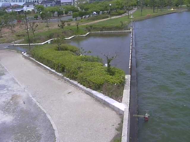 取得できませんでした