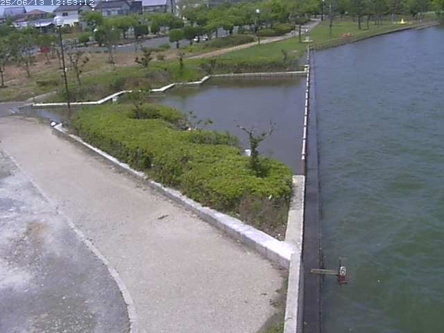 取得できませんでした