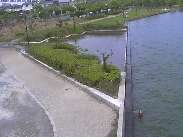 取得できませんでした