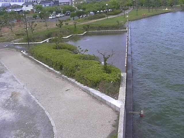 取得できませんでした