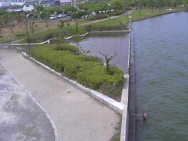 取得できませんでした