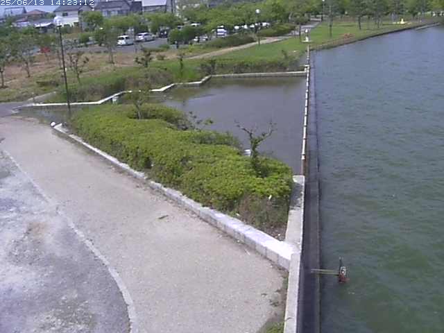 取得できませんでした
