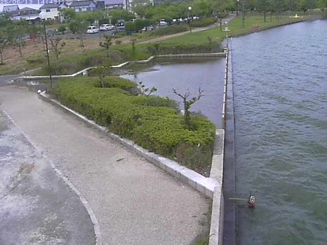 取得できませんでした
