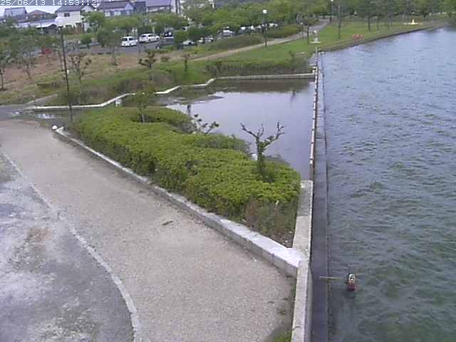 取得できませんでした