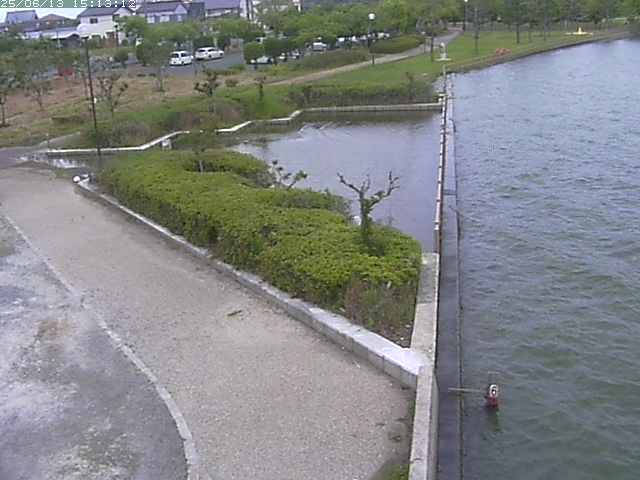 取得できませんでした
