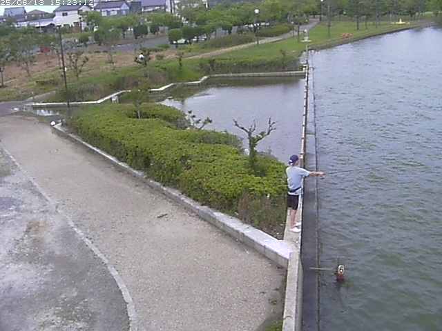 取得できませんでした