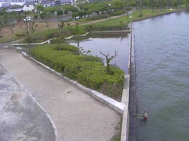 取得できませんでした
