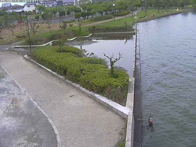 取得できませんでした