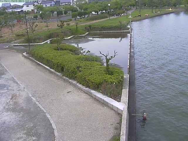 取得できませんでした