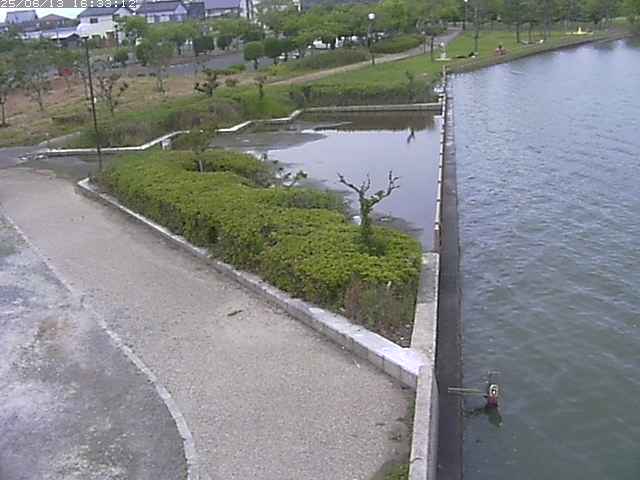 取得できませんでした