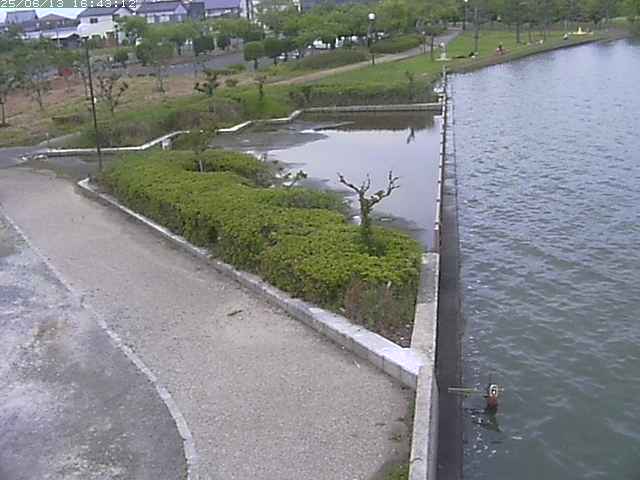 取得できませんでした