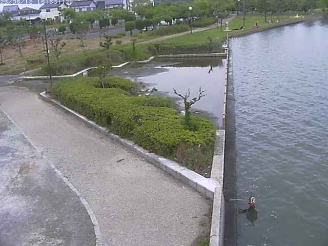 取得できませんでした