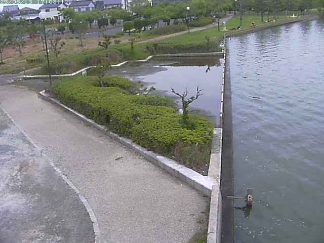 取得できませんでした