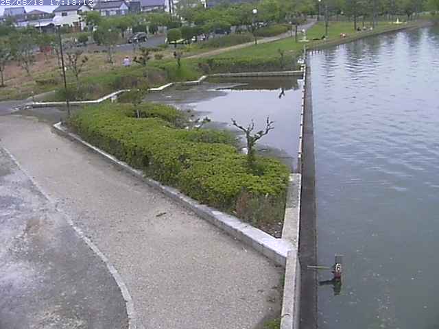 取得できませんでした