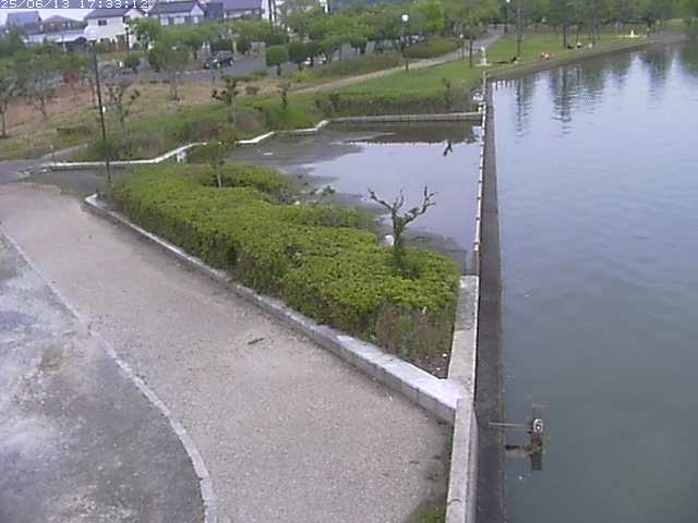 取得できませんでした