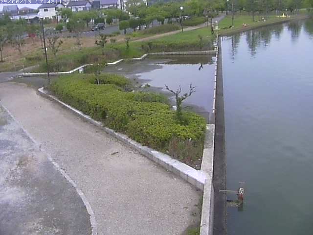 取得できませんでした