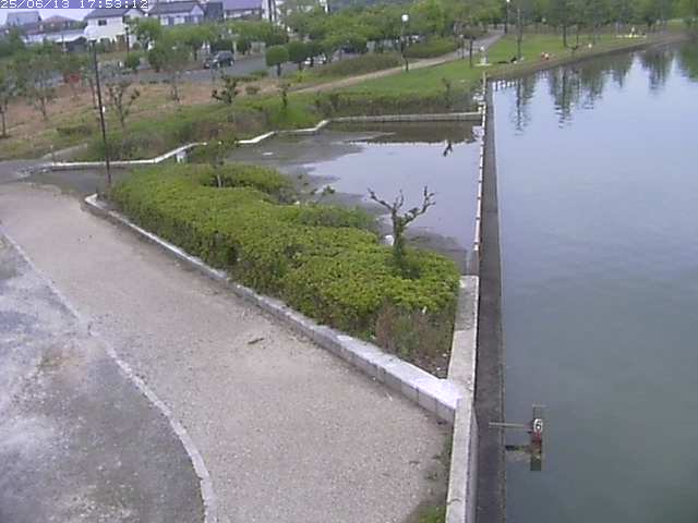 取得できませんでした