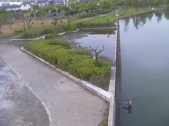 取得できませんでした