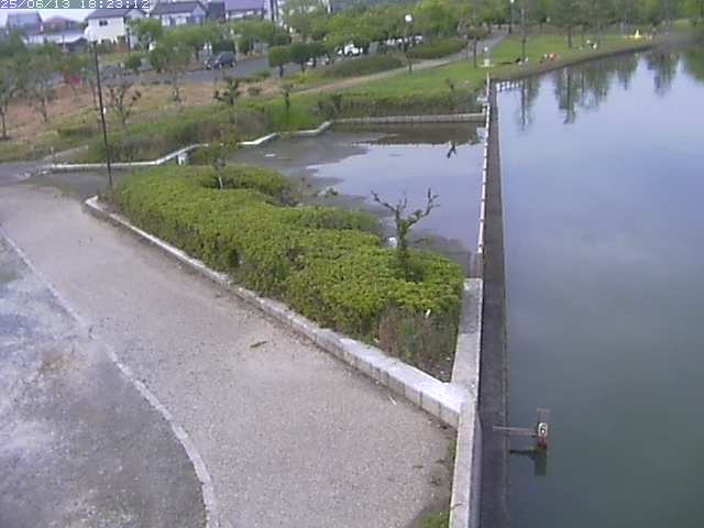 取得できませんでした
