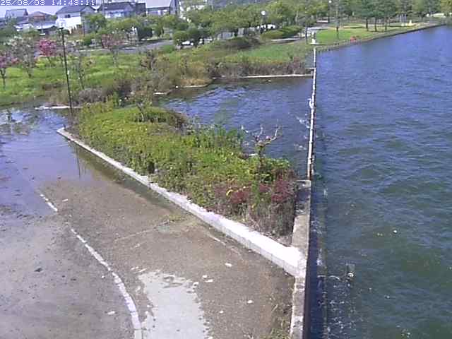 取得できませんでした