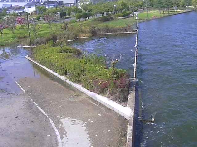 取得できませんでした