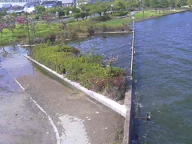 取得できませんでした