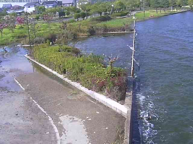 取得できませんでした