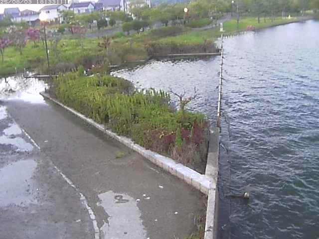 取得できませんでした
